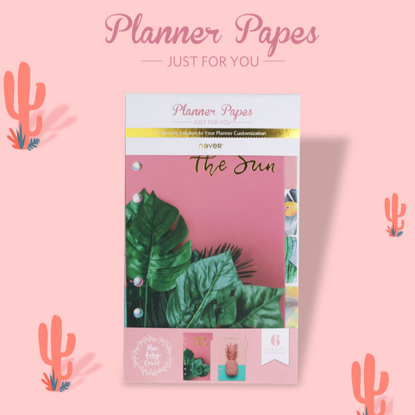 A6 Planner Laminated Divider (Set of 6)