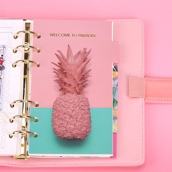 A6 Planner Laminated Divider (Set of 6)