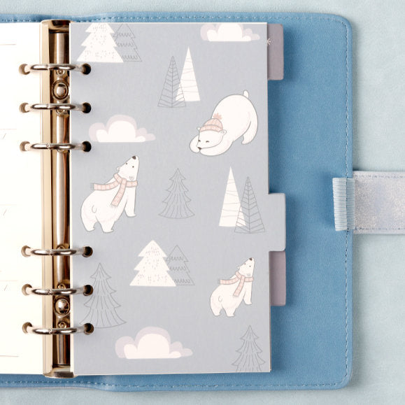 A6 Planner Laminated Divider (Set of 6)