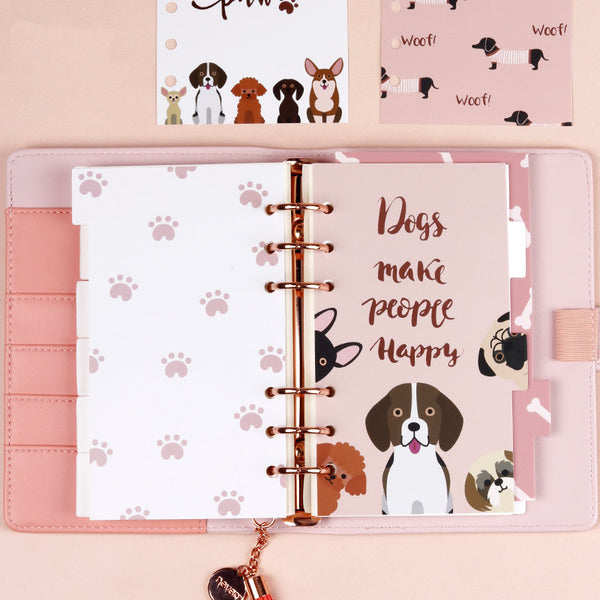 A6 Planner Laminated Divider (Set of 6)