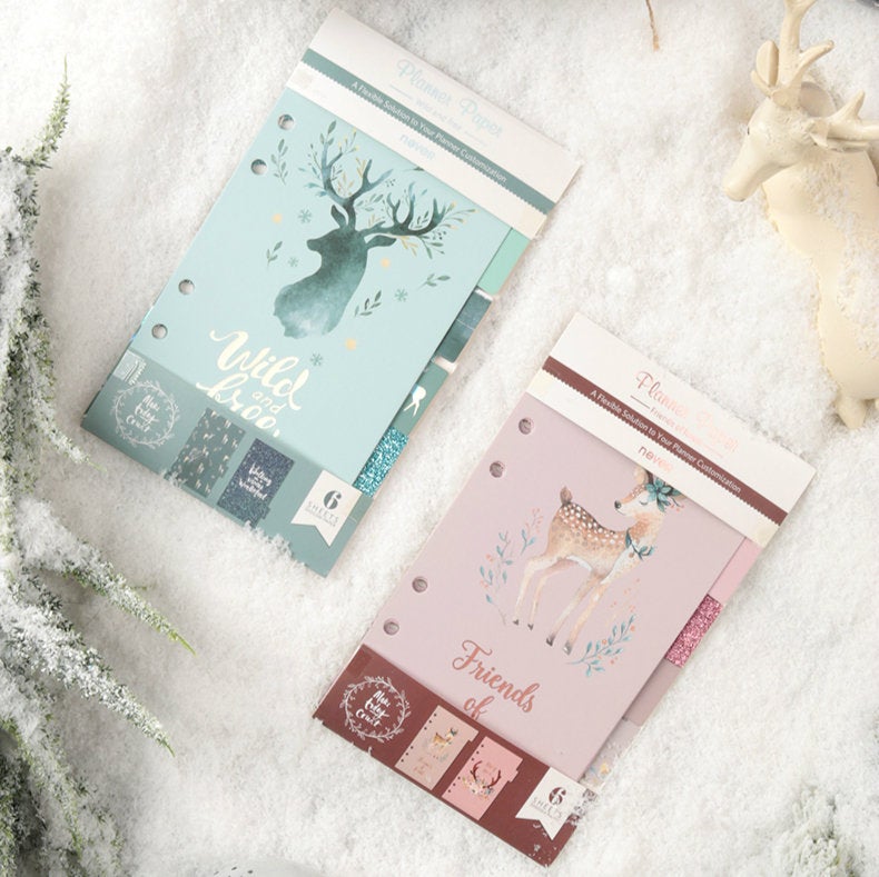 Set of 6 Planner Laminated Divider / Index / Dashboard for Filofax, Kikki.k, Kate Spade, LV, Lovedoki, Dokibook - A6 Size
